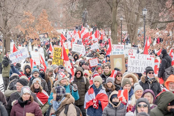 Feb 2022 Toronto Vax Protest Queens Park Trucker Convoy Protesters — Stock Photo, Image