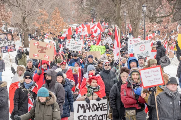 Feb 2022 Toronto Protesta Contra Vax Queens Park Manifestantes Del —  Fotos de Stock