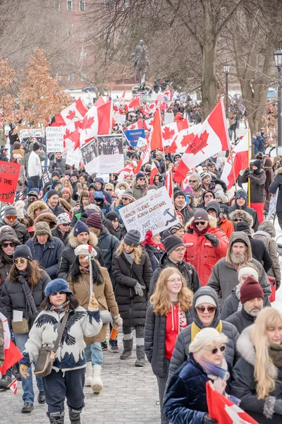 2022 Február Toronto Vax Tüntetés Queens Parkban Trucker Konvoj Tüntetők — Stock Fotó