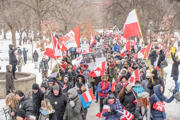Feb 2022 Toronto Protesta Contra Vax Queens Park Manifestantes Del —  Fotos de Stock