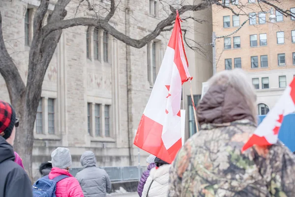 6 Şubat 2022 Toronto Anti Vax protestosu Queens Park 'ta. Kamyon konvoyu protestocuları, zorunlu olmayan gösterilerle dayanışma içinde olmak üzere arka arkaya ikinci hafta sonu için Queen 's Park, Toronto' da toplandılar.. 