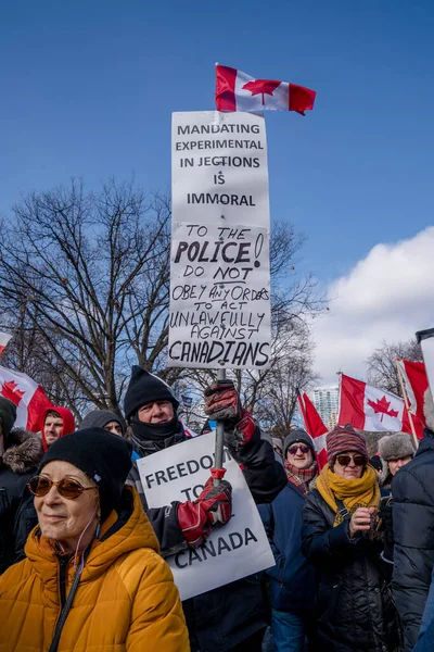 2022年2月6日 多伦多反Vax抗议在皇后区公园举行 卡车车队的抗议者连续第二个周末聚集在多伦多女王公园 声援反强制示威 — 图库照片