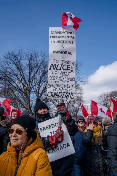 6 Şubat 2022 Toronto Anti Vax protestosu Queens Park 'ta. Kamyon konvoyu protestocuları, zorunlu olmayan gösterilerle dayanışma içinde olmak üzere arka arkaya ikinci hafta sonu için Queen 's Park, Toronto' da toplandılar.. 