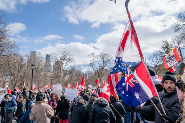 Feb 2022 Toronto Vax Protest Queens Park Trucker Convoy Protesters — Stock Photo, Image