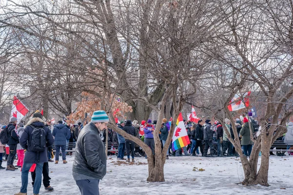 Şubat 2022 Toronto Vax Protestosu Queens Park Kamyon Konvoyu Protestocuları — Stok fotoğraf