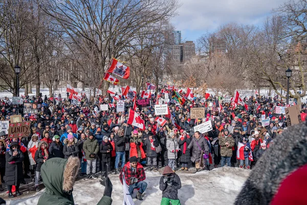 Feb 2022 Toronto Protesta Contra Vax Queens Park Manifestantes Del —  Fotos de Stock