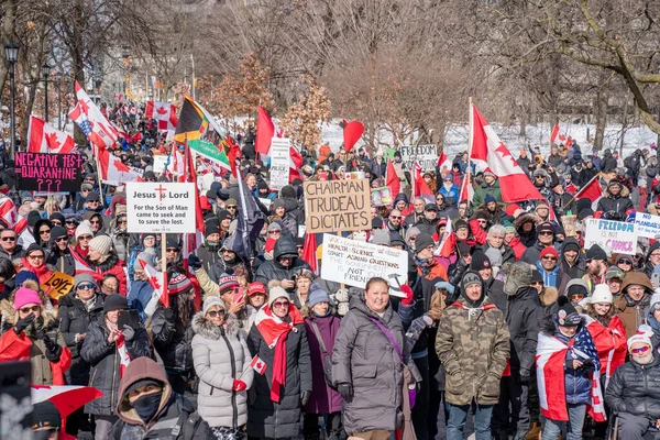 Fev 2022 Toronto Vax Protesto Queens Park Manifestantes Comboio Caminhoneiros — Fotografia de Stock