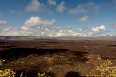 Sierra Negra 'daki güzel manzara, Ekvador, Galapagos Adaları' ndaki Isabela Adası 'nın güneydoğu ucunda büyük bir kalkan volkanı.