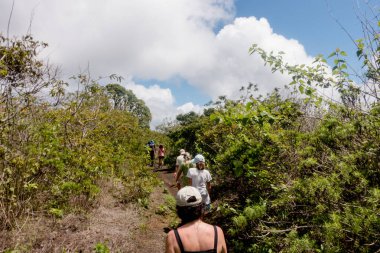 Galapagos Adaları, Ekvador - 15 Mart 2022: İnsanlar kaktüs ve volkan havuzlarıyla Las Grietas yolunda yürüyüş yapıyor.   