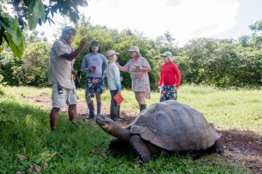Galapagos Adaları, Ekvador - 15 Mart 2022: El Chato Galapagos Galapagos dev kaplumbağaların dolaştığı korunaklı bir yerdir..