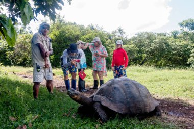 Galapagos Adaları, Ekvador - 15 Mart 2022: El Chato Galapagos Galapagos dev kaplumbağaların dolaştığı korunaklı bir yerdir..