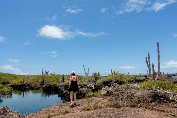Galapagos Adaları, Ekvador - 15 Mart 2022 Las Tintoreras, körfez ve gizli plajlarla dolu küçük adalar zinciri.. 