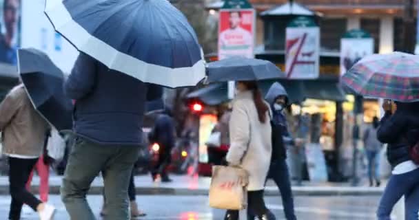 2021年11月14日 意大利罗马 市民穿过街道 用雨伞保护自己免受雨水的侵袭 公民在雨中 — 图库视频影像