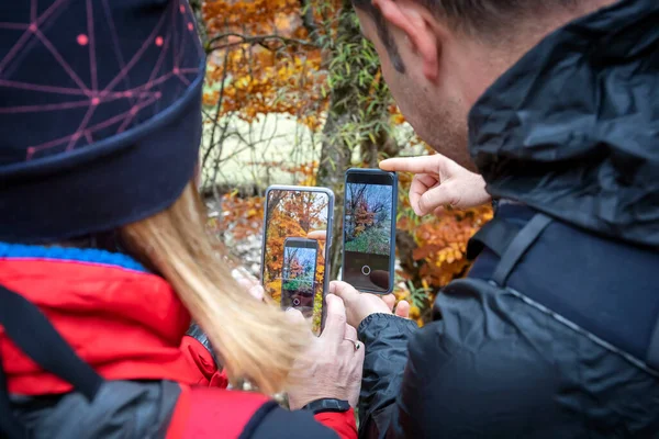 Les Randonneurs Photographient Feuillage Des Arbres Avec Son Téléphone Portable — Photo