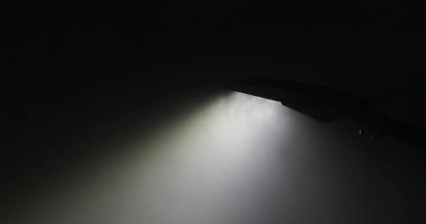 Gotas Niebla Lluvia Iluminadas Por Luz Una Farola Una Calle — Vídeos de Stock