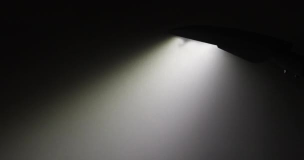Mgła Krople Deszczu Oświetlone Światłem Ulicznej Lampy Miejskiej Ulicy — Wideo stockowe