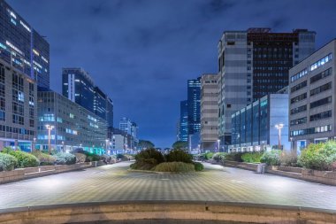 Modern mimari merkezi, mimari alandaki son teknoloji binalarla dolu, gökdelenleri ve aynalı yüzeyleri var. Şehrin ticaret ve iş merkezi..