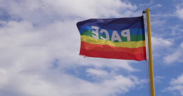 Flag Colors Peace Flutters Backdrop Cloudy Blue Sky Symbol Peace — Stock video