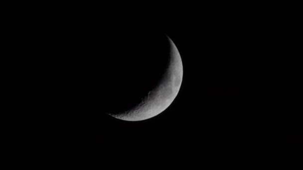 Luna Creciente Cuarto Sobre Fondo Negro Noche Superficie Lunar Con — Vídeos de Stock