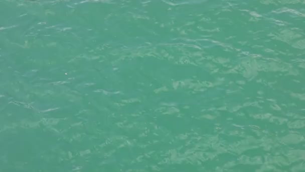 Επιφάνεια Της Λίμνης Καθαρό Μπλε Και Πράσινο Χρώμα Ροές Νερού — Αρχείο Βίντεο