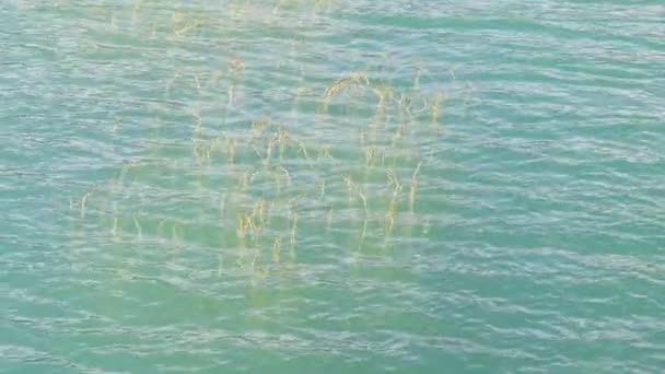 Powierzchnia Jeziora Przejrzysty Niebieski Zielony Kolor Wody Przepływa Tworząc Małe — Wideo stockowe