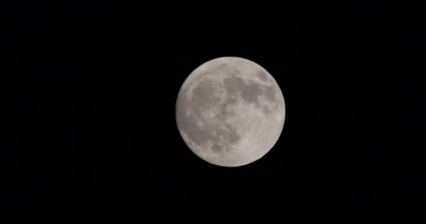 Full Moon Night Lunar Surface Clearly Visible Craters Valleys — Video Stock