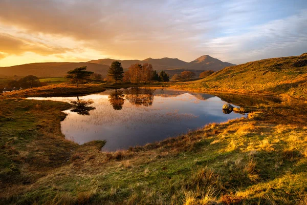 Mirror Reflections Small Lake Golden Light Land Taken Kelly Hall — Stock Photo, Image