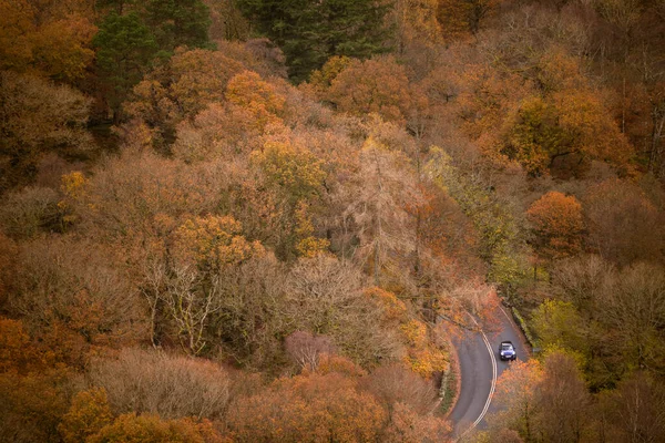 Letecký Pohled Auto Jedoucí Asfaltové Silnici Přírodě Podzimními Barvami Stock Fotografie