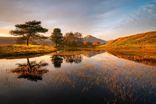 Perfecte Spiegeling Van Bomen Bergen Klein Meer Tarn Buurt Van Rechtenvrije Stockfoto's