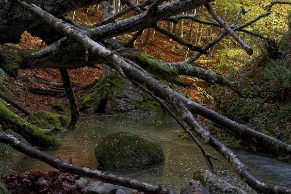 Vista Otoñal Río Salvaje Medio Naturaleza Con Rocas Larga Exposición — Foto de Stock