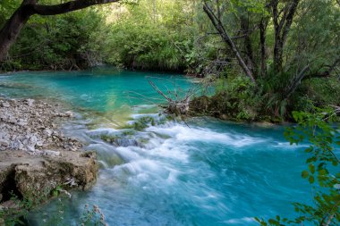 Plitvice Gölü Ulusal Parkı, Hırvatistan - 16.08.2021. Hırvatistan 'daki Plitvice Gölü Milli Parkı' nın güzel manzarası. 
