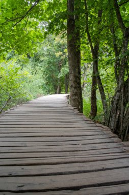 Plitvice Lakes Ulusal Parkı, Hırvatistan - 17.8.2021. Hırvatistan 'ın Plitvice Lakes Ulusal Parkı' ndaki ahşap köprü. 
