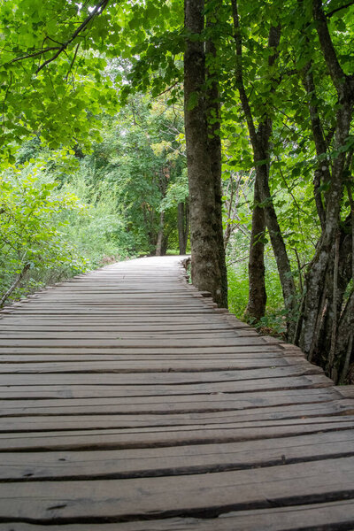 Plitvice Lakes National Park, Croatia - 17.8.2021. Wooden bridge in Plitvice Lakes National Park, Croatia. 