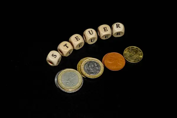 Die Inschrift auf den Würfeln, das Wort TAX in deutscher Sprache auf den Holzwürfeln mit Münzen drumherum — Stockfoto