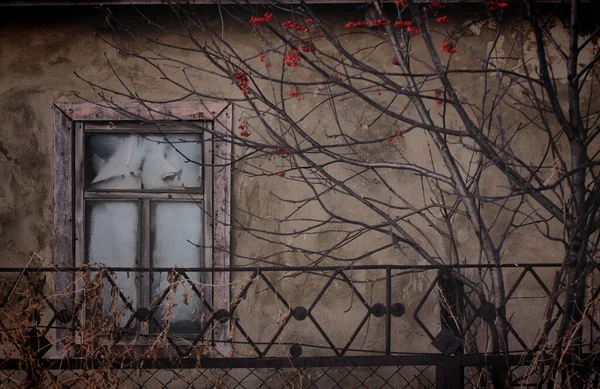 Окно Зимним Морозом Стекле Старом Доме — стоковое фото