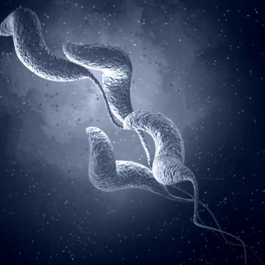Tıbbi arka plan, bakteri spirili, kıvrımlı spiral şekil, Campylobacter cinsi, C. jejuni, C. coli enterokolit, patojen, bağırsak hastalıklarının nedensel faktörü, 3D görüntüleme