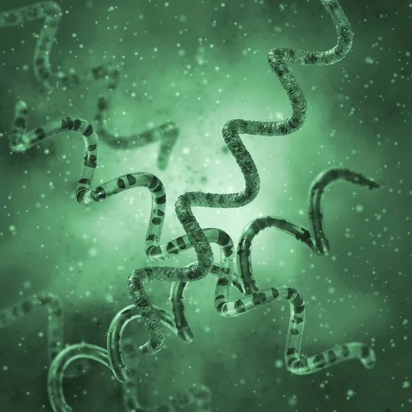 의학적 스피로 단세포 나선형 Treponema 병원균 렌더링 — 스톡 사진