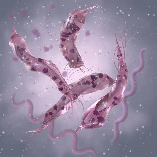 의학적 편모가 박테리아 모양의 마이크로 에어로 — 스톡 사진