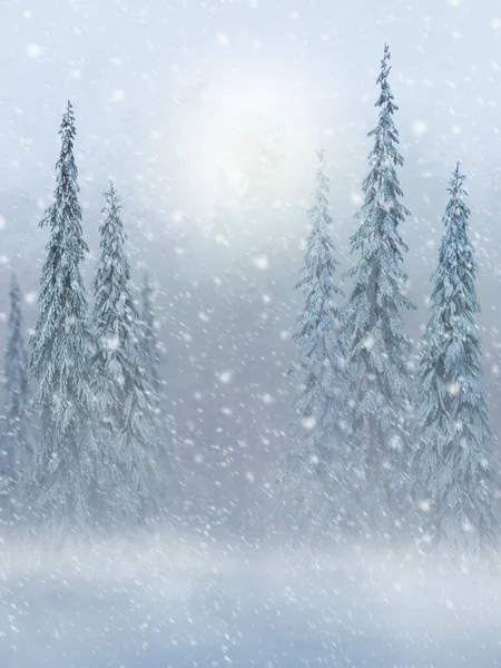 Winter Christmas New Year Background Tall Beautiful Fir Trees Pines — Stock Photo, Image