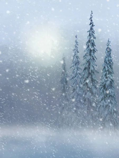Kış Yeni Yıl Arkaplanı Uzun Güzel Köknar Ağaçları Çam Ağaçları — Stok fotoğraf