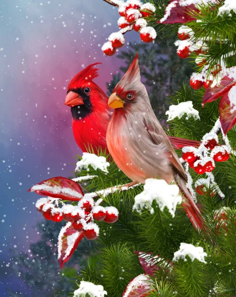 新年のクリスマスのお祝いの背景には 2つの明るい赤い鳥が鳥の家の近くに座って 緑のトウヒの枝 夜の照明 3Dレンダリングのフィーダー — ストック写真