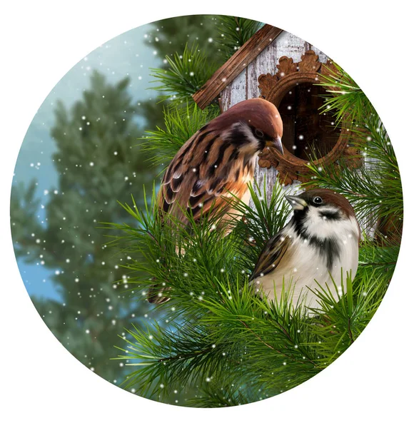 New Year Christmas Festive Background Two Sparrow Birds Sit Birdhouse — стоковое фото