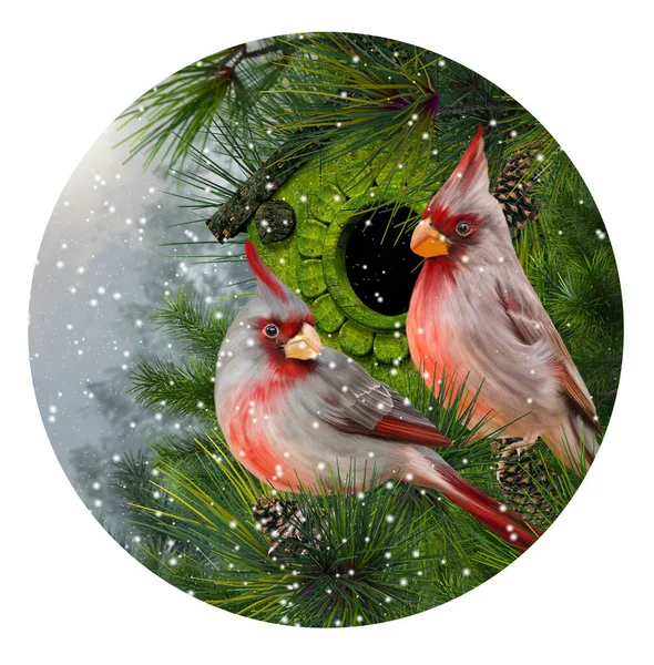 New Year Christmas Festive Background Two Bright Red Cardinal Birds — стоковое фото