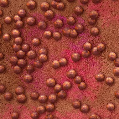 Medical background, Staphylococcus aureus, a type of spherical gram-positive bacteria, causes a disease of the skin, mucous membranes of the upper respiratory tract, 3d rendering