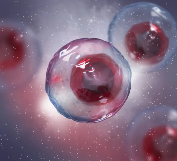 Medical Background Embryonic Stem Cells Capable Self Renewal Rendering — ストック写真