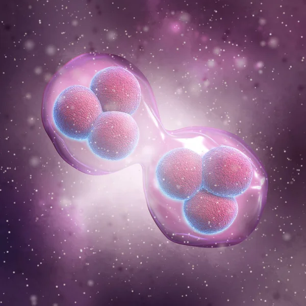 Medical Background Embryonic Stem Cells Capable Self Renewal Rendering — Stok fotoğraf