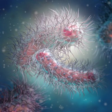 Tıbbi geçmiş, Enterobacterales bakterisi patojen salmonella, E. coli, veba bakterisi, proteobakteri, gram negatif, 3D görüntüleme.