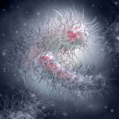 Tıbbi geçmiş, Enterobacterales bakterisi patojen salmonella, E. coli, veba bakterisi, proteobakteri, gram negatif, 3D görüntüleme.