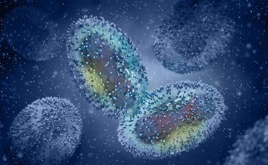 Tıbbi geçmiş, Maymun Çiçeği virüsü, Poxviridae familyasından Zoonotik virüs, maymun çiçeği, gözenek hastalığı, yüksek derecede bulaşıcı viral enfeksiyon, 3D