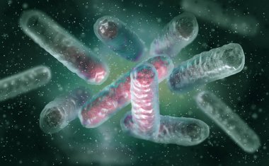 Tıbbi geçmiş, Enterobacterales bakterisi patojen salmonella, E. coli, veba bakterisi, proteobakteri, gram negatif, 3D görüntüleme.